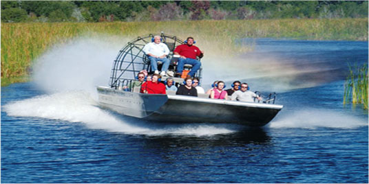 Exciting Airboat Ride Louisiana Swamps
